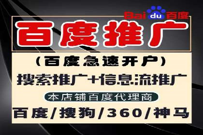 提升网站流量：SEO在百度推广的实战案例